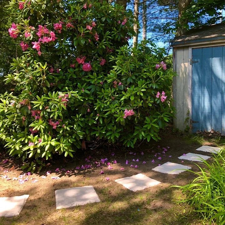 1+1 FREE | SafeTread – Rock-Solid Paving Slabs that Prevent Slipping Instantly - Image 7