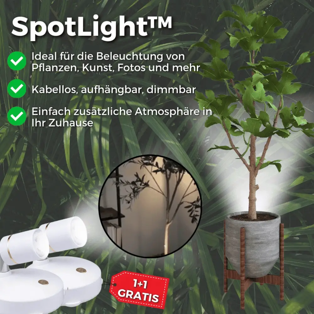 1+1 FREE | SpotLight - Wireless LED Floodlight