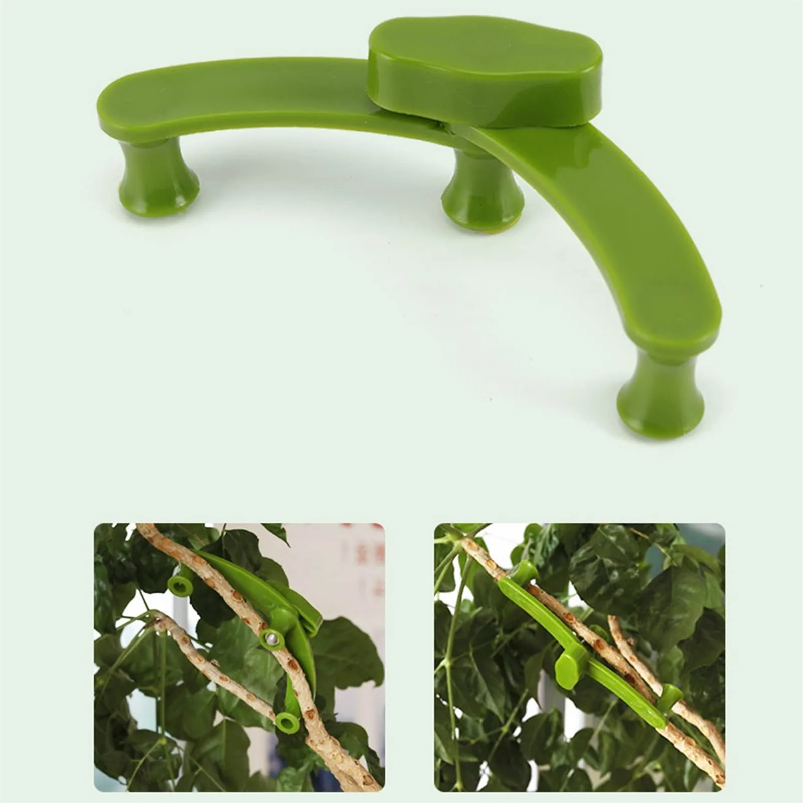 2+3 FREE | PlantHeld - Keep plants strong, upright, and healthy daily