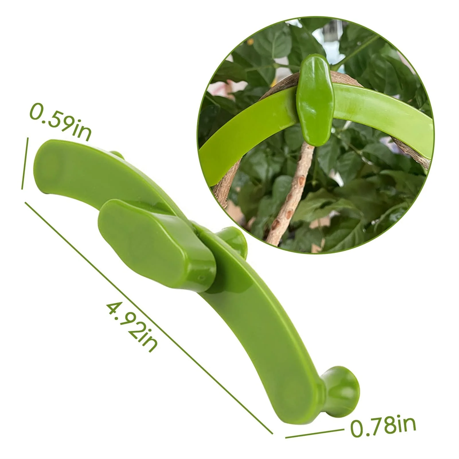 2+3 FREE | PlantHeld - Keep plants strong, upright, and healthy daily - Image 3