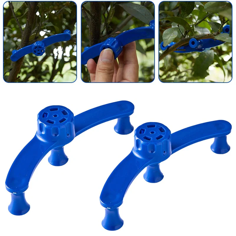 2+3 FREE | PlantHeld - Keep plants strong, upright, and healthy daily - Image 4