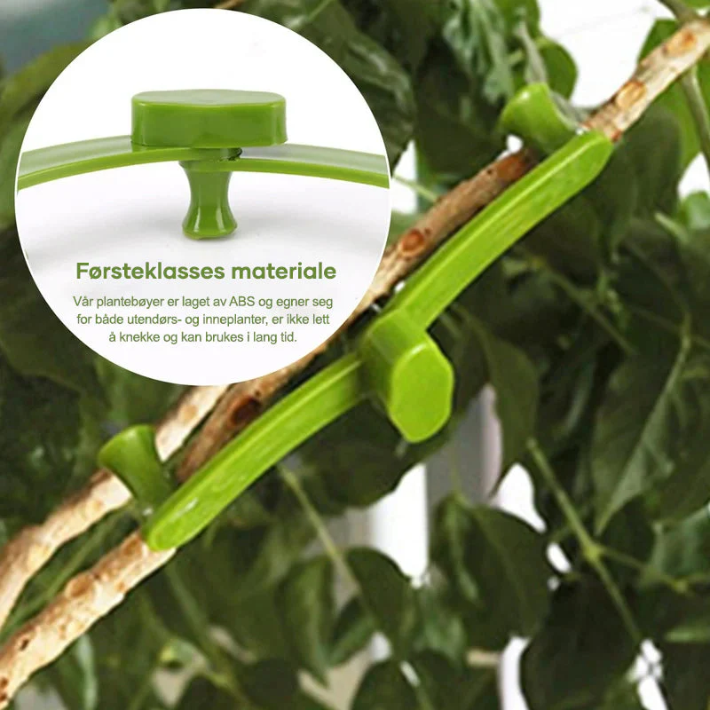 2+3 FREE | PlantHeld - Keep plants strong, upright, and healthy daily - Image 7