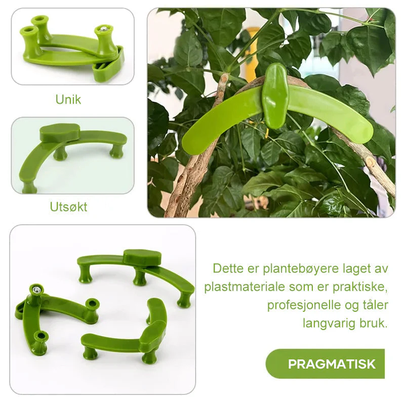 2+3 FREE | PlantHeld - Keep plants strong, upright, and healthy daily - Image 8