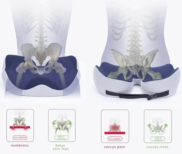 AlignSeat – All-day comfort and pain-free sitting anywhere - Image 2