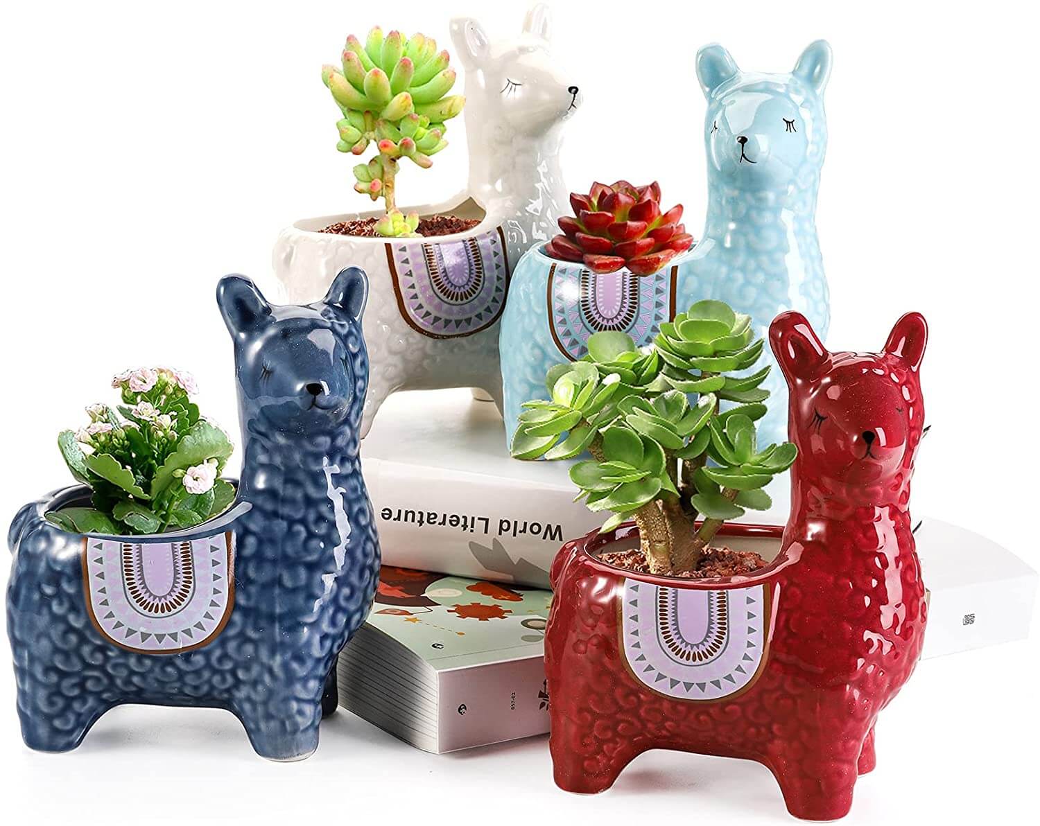 AlpaZen – Instantly Brighten Rooms with Enchanting Greenery - Image 8