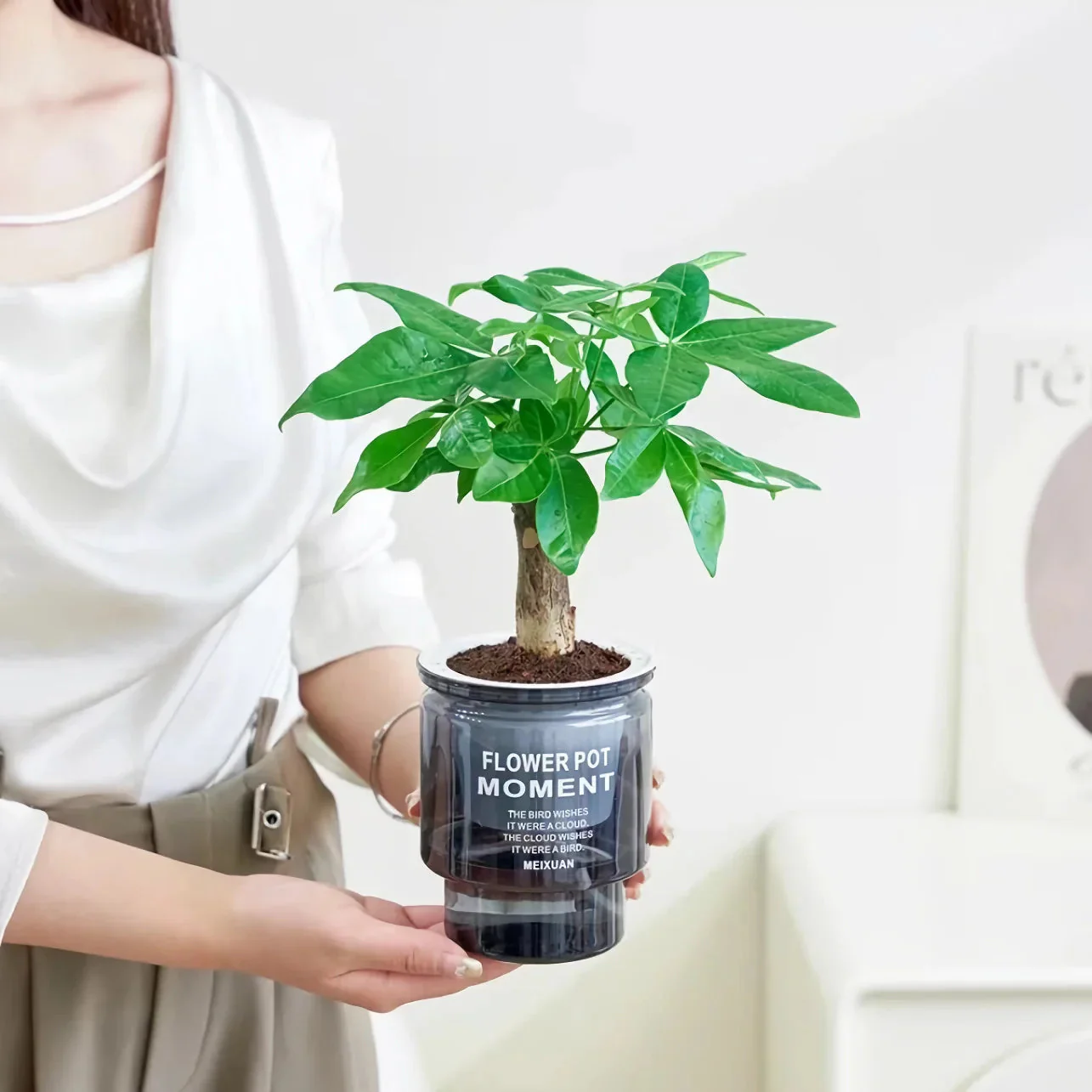 AquaPlanter - Effortless Perfect Watering for Succulents - Image 5