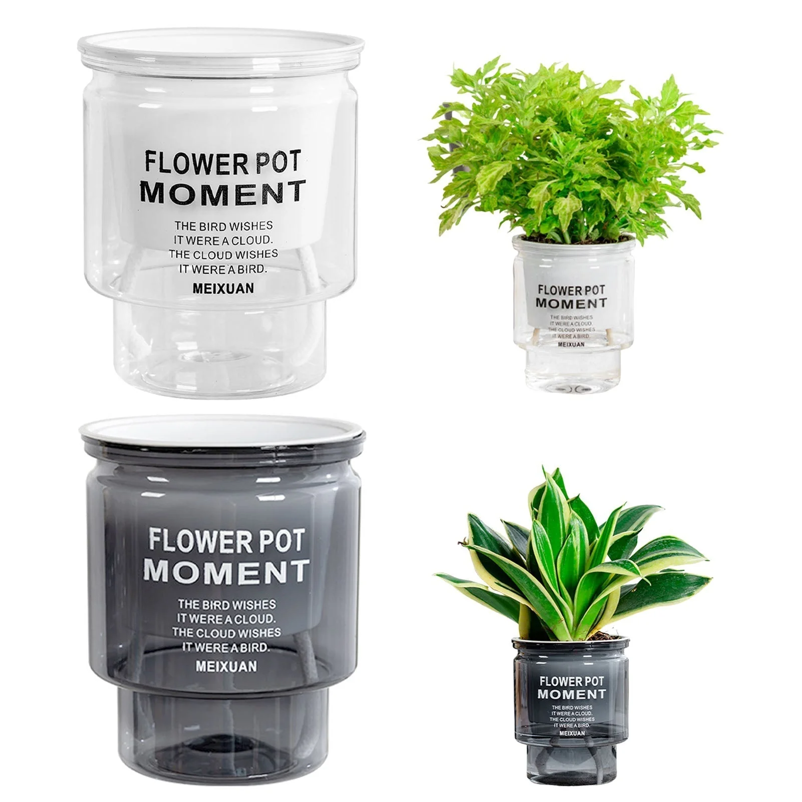 AquaPlanter - Effortless Perfect Watering for Succulents - Image 6