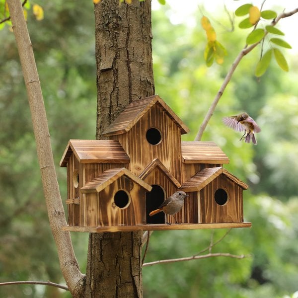BirdHaven – Safe Reception for Small Birds with Cozy, Weatherproof Home - Image 5
