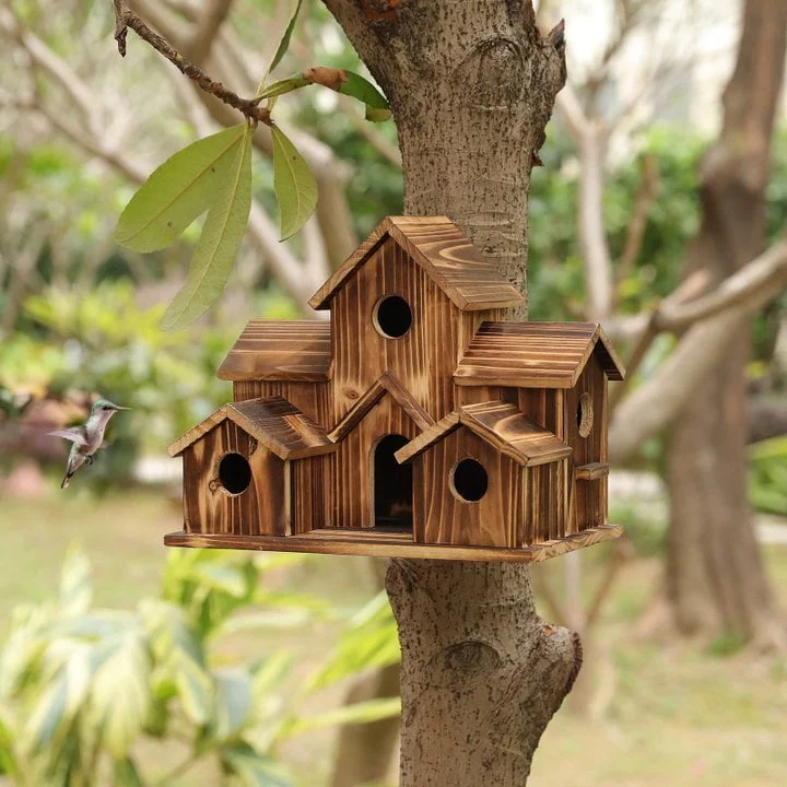 BirdHaven – Safe Reception for Small Birds with Cozy, Weatherproof Home - Image 6