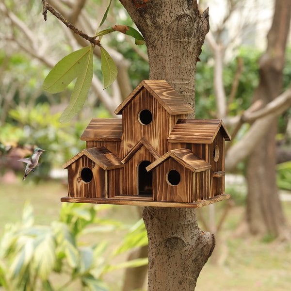 BirdHaven – Safe Reception for Small Birds with Cozy, Weatherproof Home - Image 8