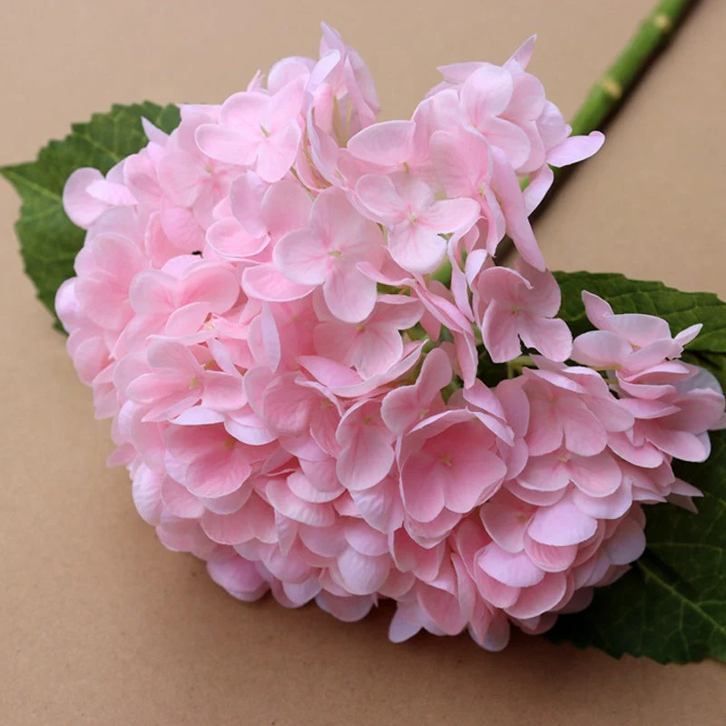 HydrangeaAura - Eternal Living Flowers Without Any Maintenance - Image 10