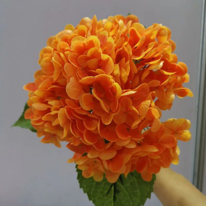 HydrangeaAura - Eternal Living Flowers Without Any Maintenance - Image 11