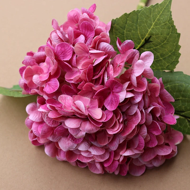 HydrangeaAura - Eternal Living Flowers Without Any Maintenance - Image 12