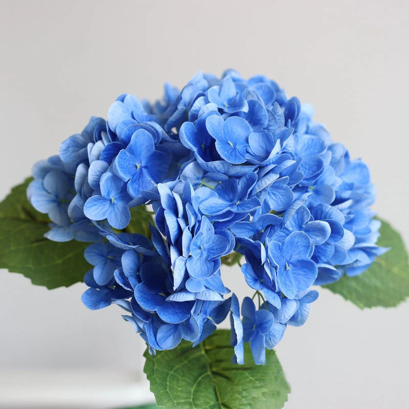 HydrangeaAura - Eternal Living Flowers Without Any Maintenance - Image 3