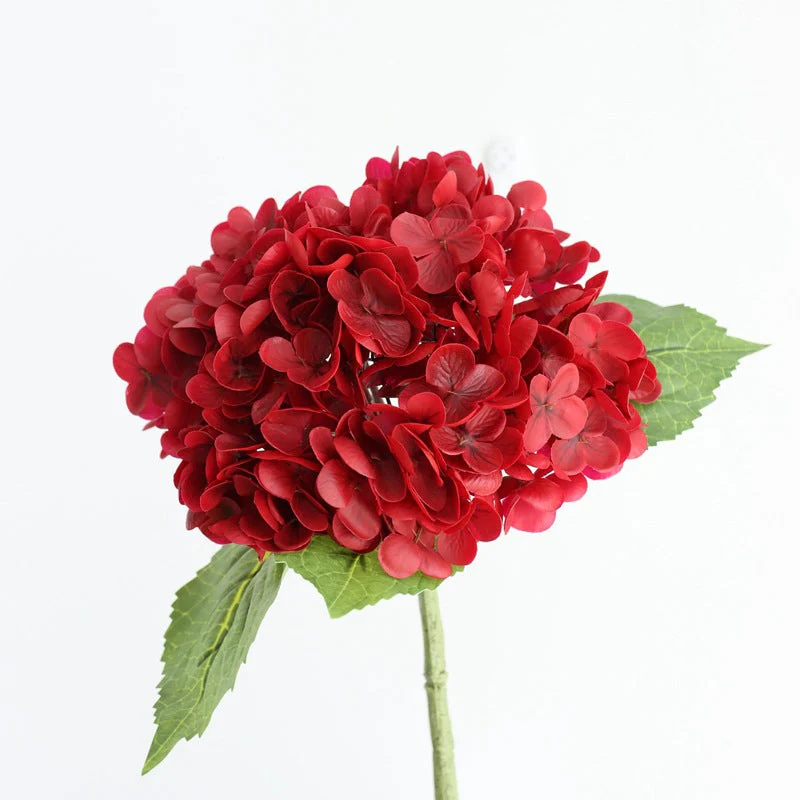 HydrangeaAura - Eternal Living Flowers Without Any Maintenance - Image 4
