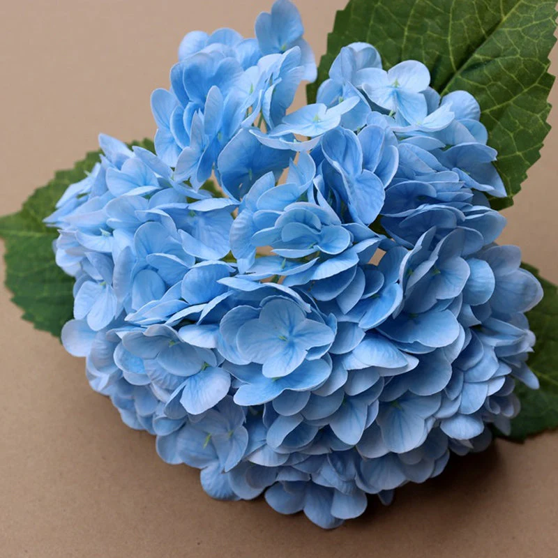 HydrangeaAura - Eternal Living Flowers Without Any Maintenance - Image 5