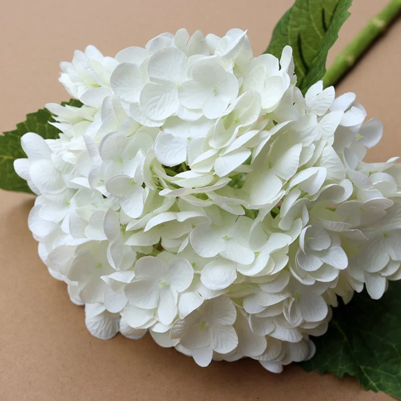 HydrangeaAura - Eternal Living Flowers Without Any Maintenance - Image 6