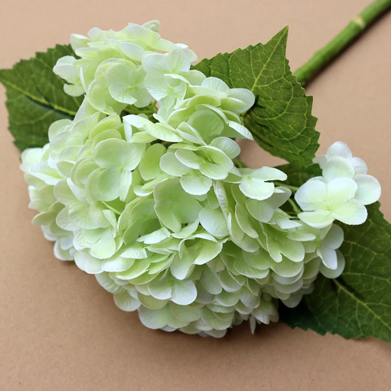 HydrangeaAura - Eternal Living Flowers Without Any Maintenance - Image 7