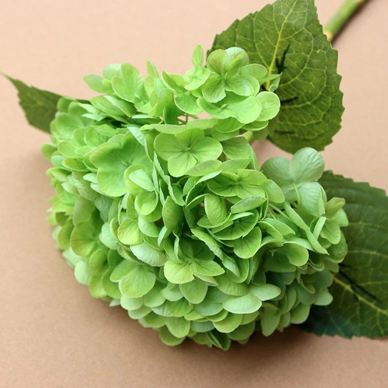 HydrangeaAura - Eternal Living Flowers Without Any Maintenance - Image 8