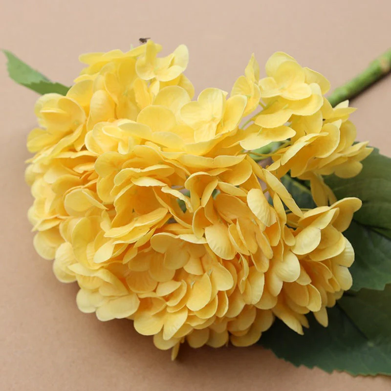 HydrangeaAura - Eternal Living Flowers Without Any Maintenance - Image 9
