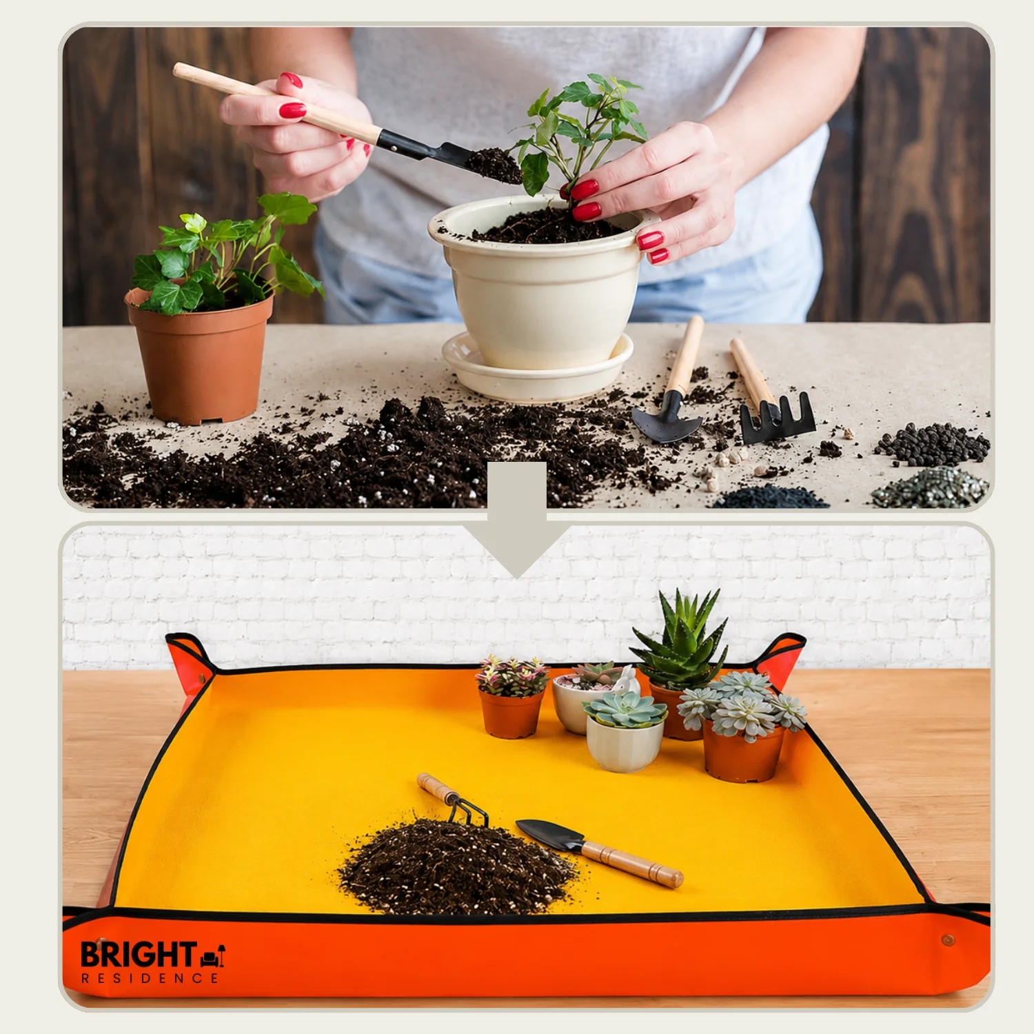 CleanRootKit – Clean, Precise Plant Care Everywhere Without Dirt - Image 2