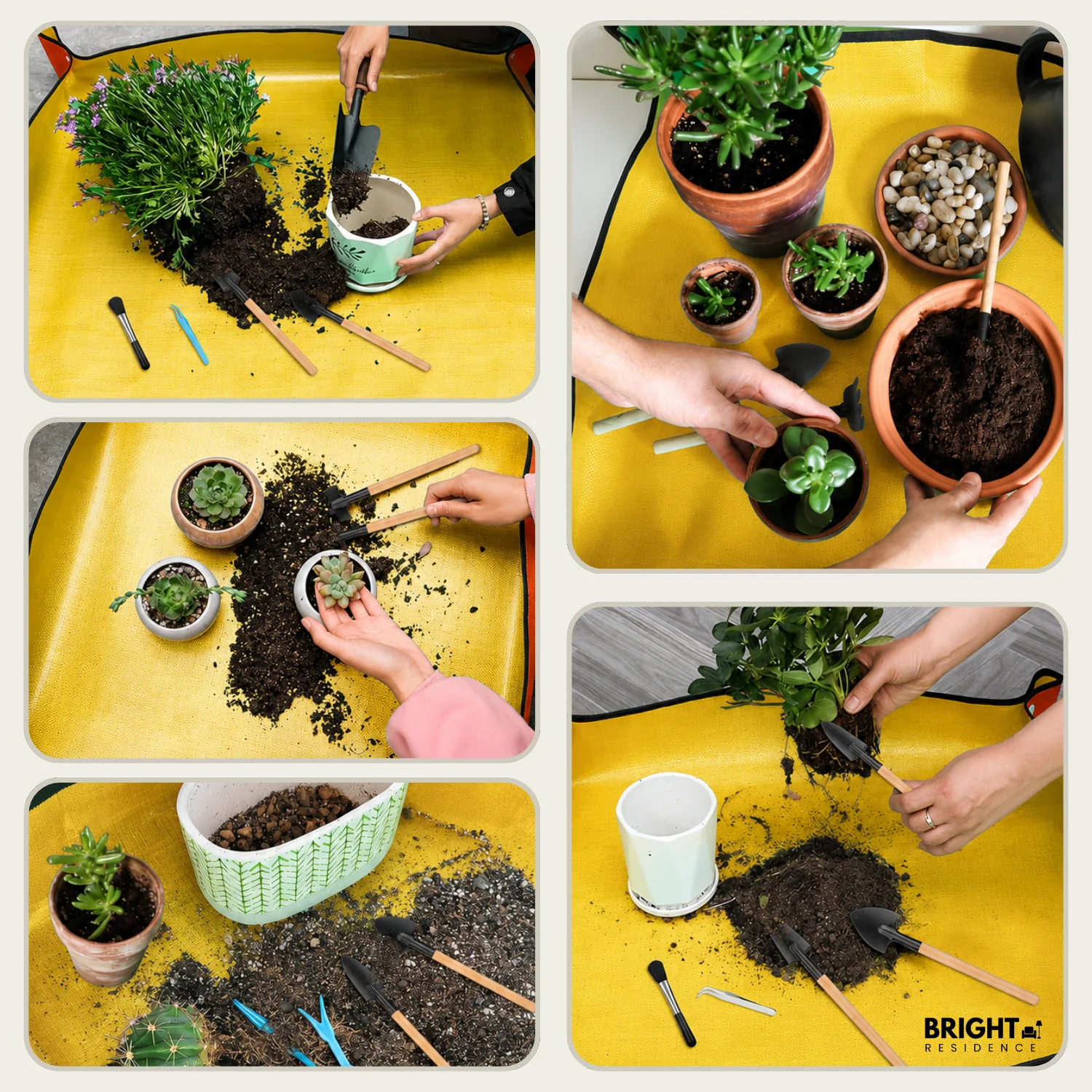 CleanRootKit – Clean, Precise Plant Care Everywhere Without Dirt - Image 4