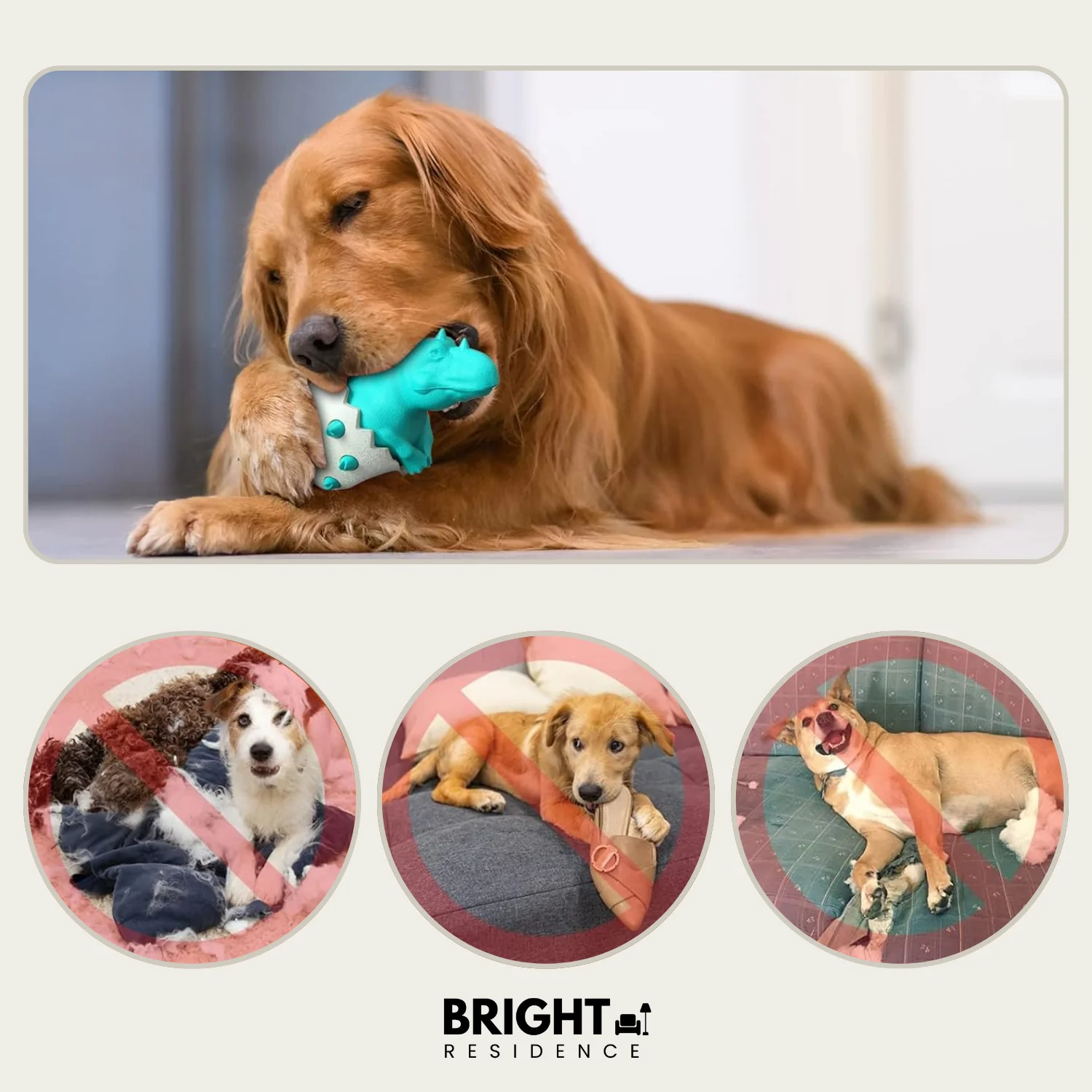 DinoEgg – The indestructible chew egg for healthy dog teeth! - Image 3