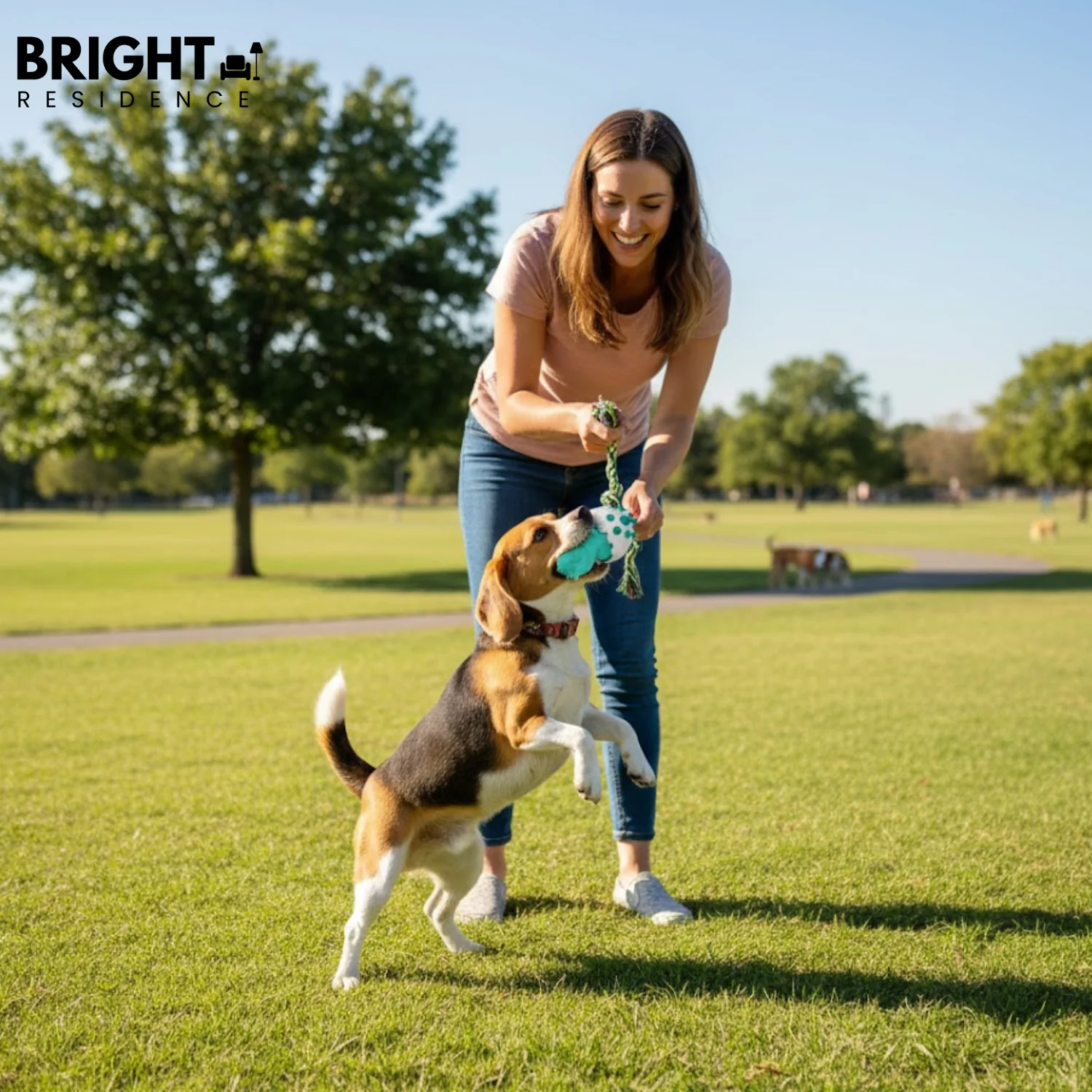 DinoEgg – The indestructible chew egg for healthy dog teeth! - Image 4