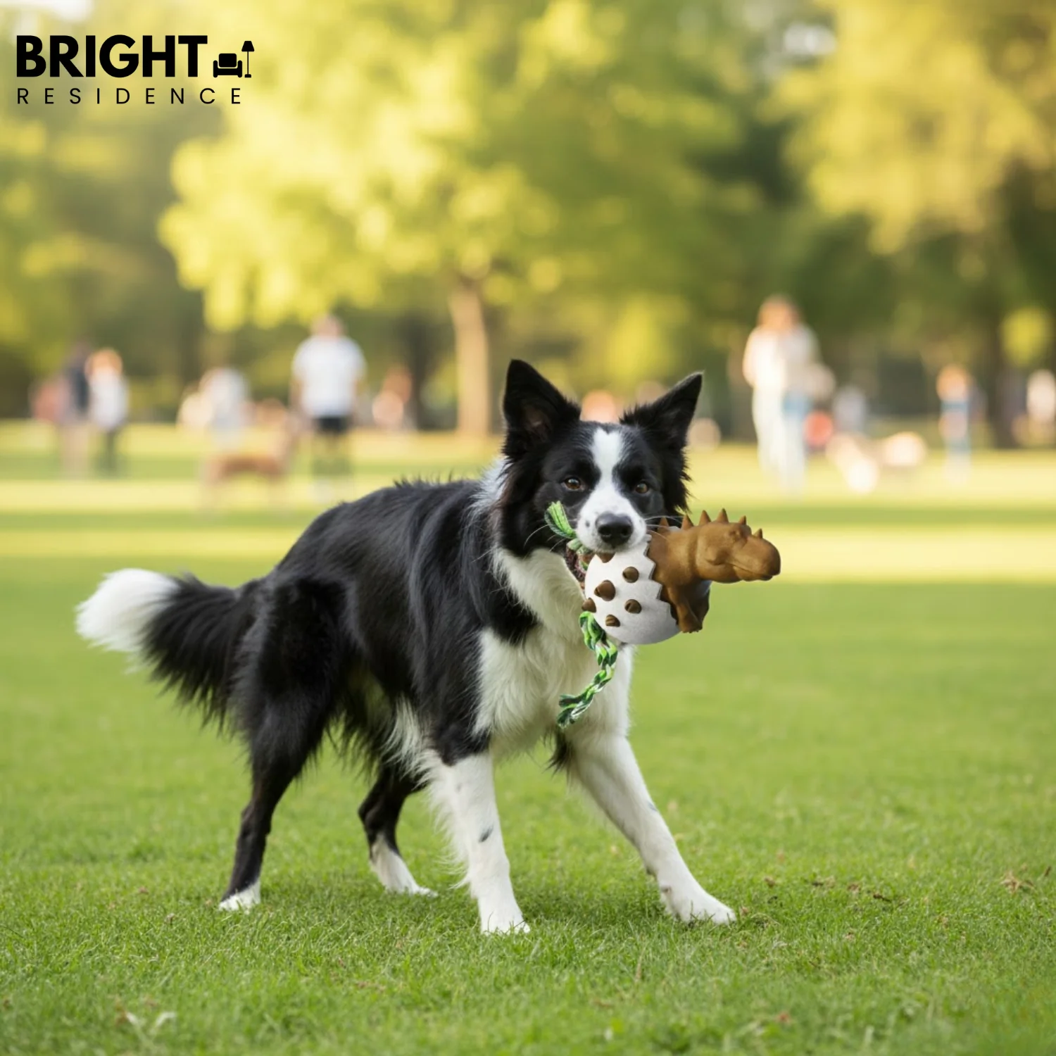 DinoEgg – The indestructible chew egg for healthy dog teeth! - Image 7