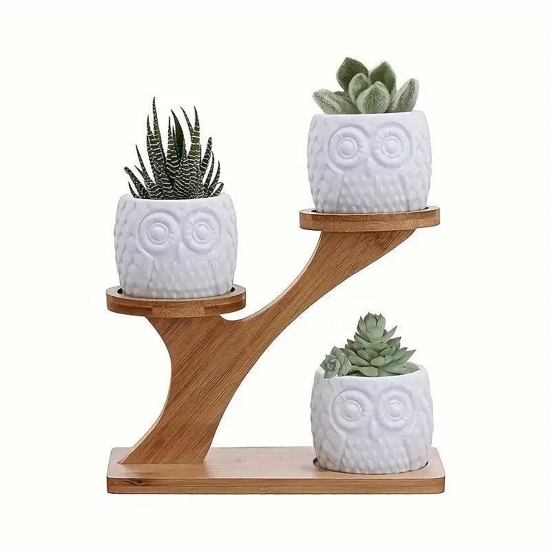 EcoBamboo - Organize and Showcase Your Plants Stylishly and Instantly - Image 3