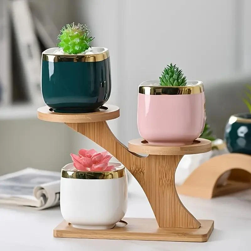 EcoBamboo - Organize and Showcase Your Plants Stylishly and Instantly - Image 6