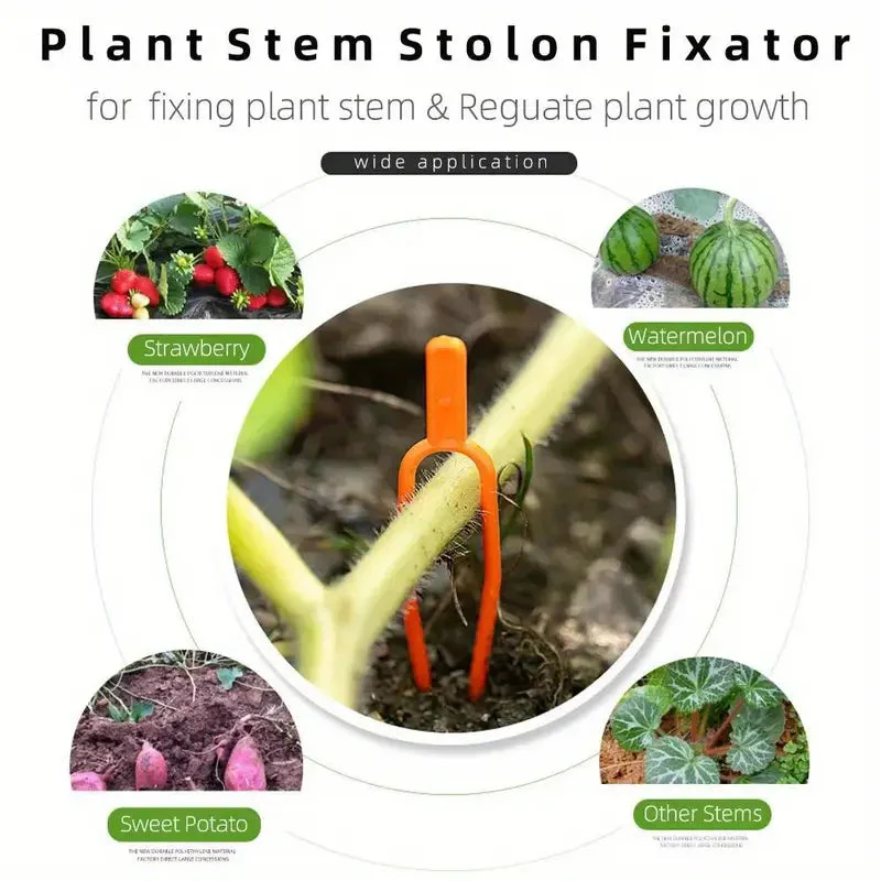 25+25 FREE | EcoStretch – Keep plants upright and healthy throughout the entire season - Image 5