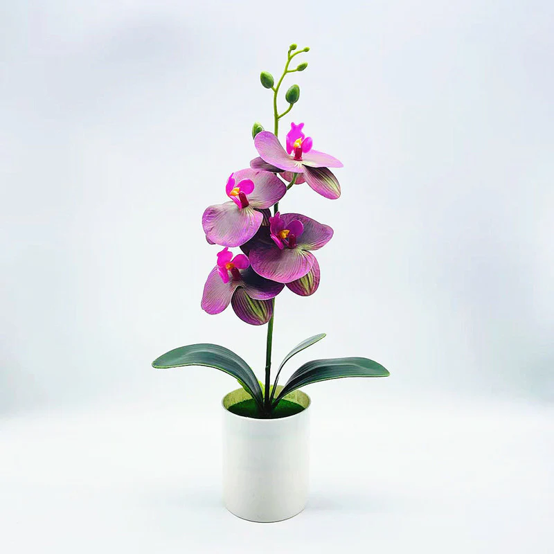 EverBud – Effortless Elegance with Realistic, Low-Maintenance Orchids - Image 2