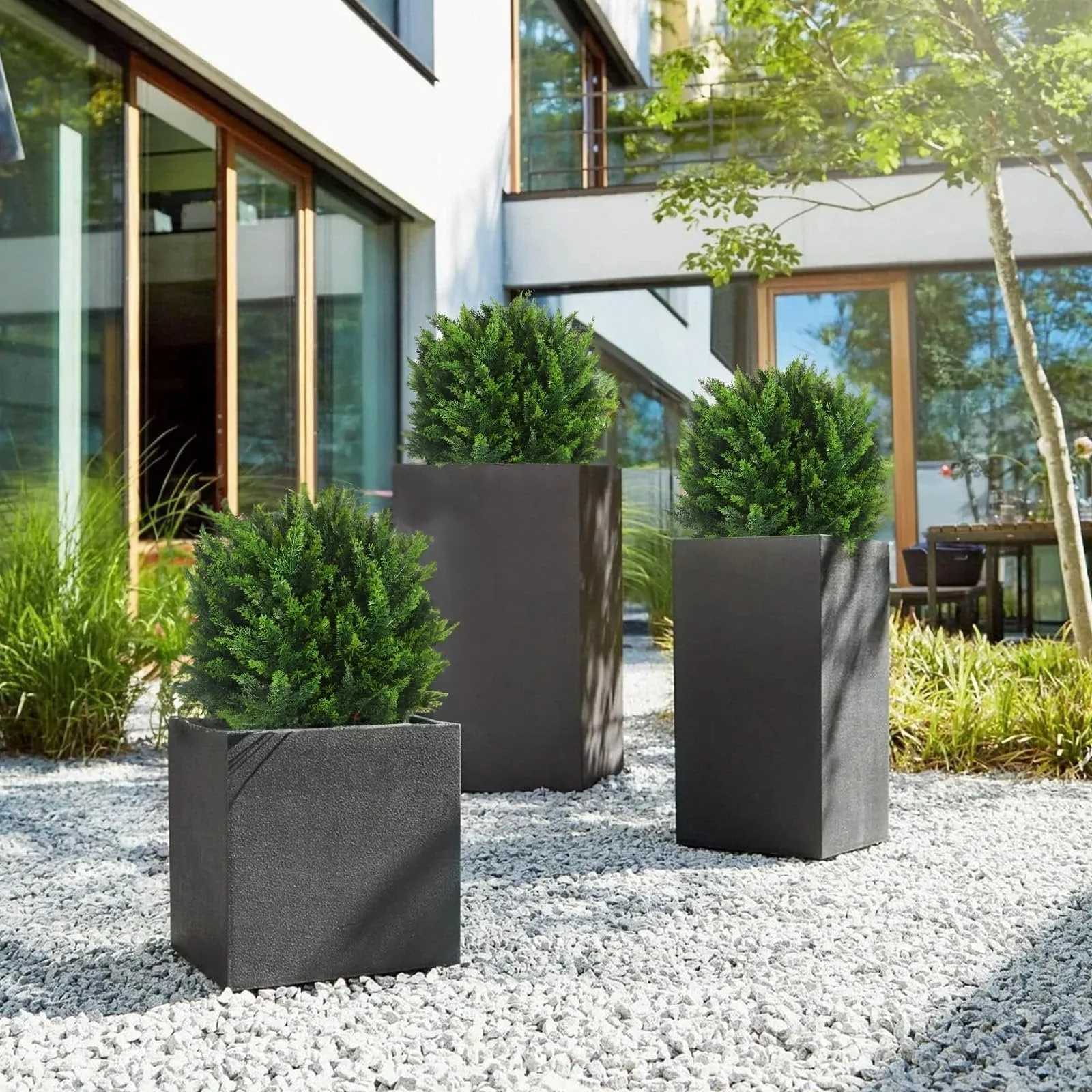 1+1 FREE | EverGreen – Evergreen Elegance without Maintenance Effort! - Image 10