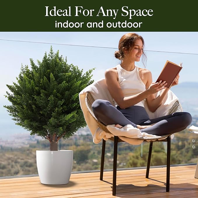 1+1 FREE | EverGreen – Evergreen Elegance without Maintenance Effort! - Image 2
