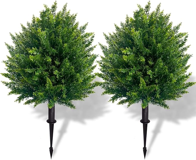 1+1 FREE | EverGreen – Evergreen Elegance without Maintenance Effort! - Image 22