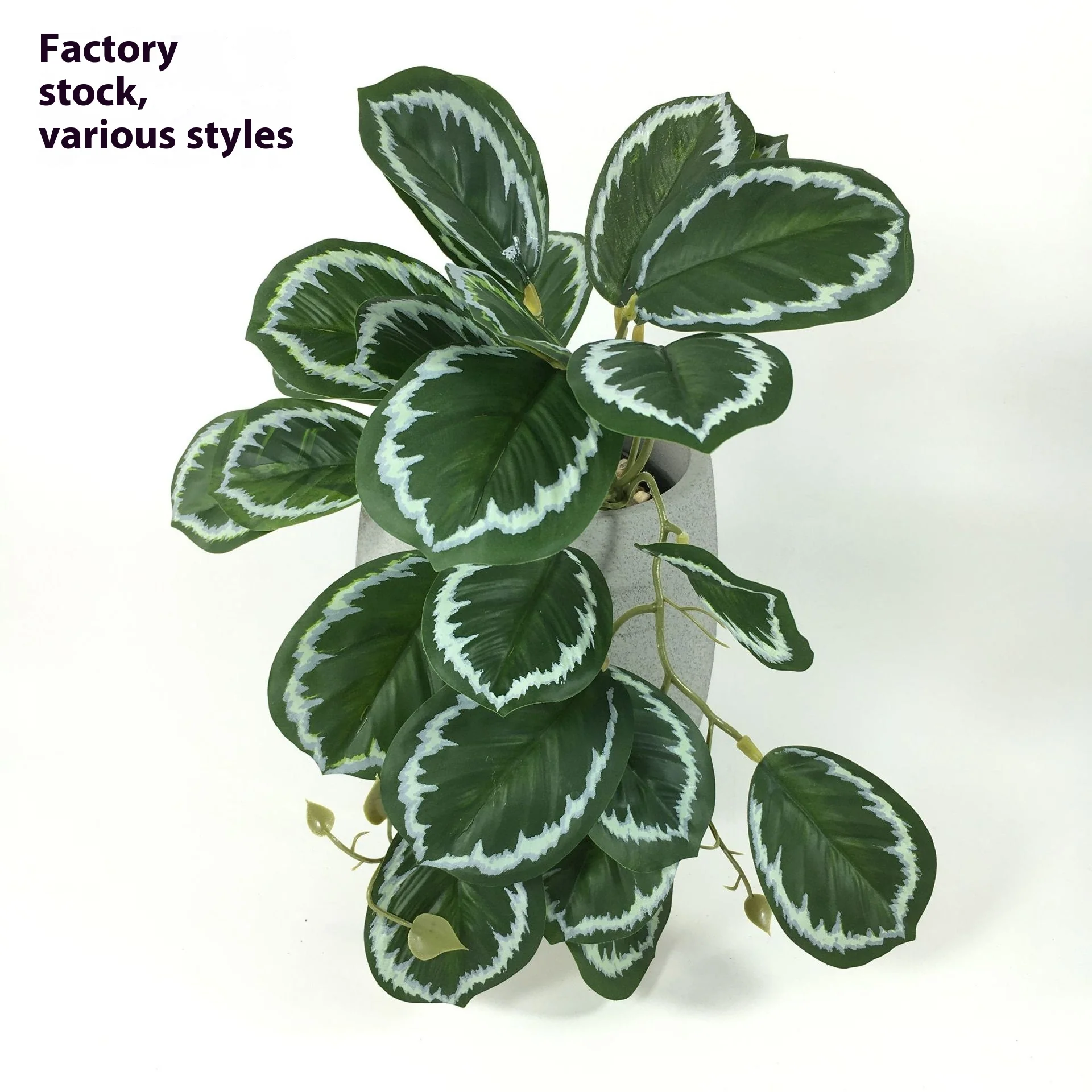 EverLush – Instant Realistic Greening Without Maintenance Effort - Image 10