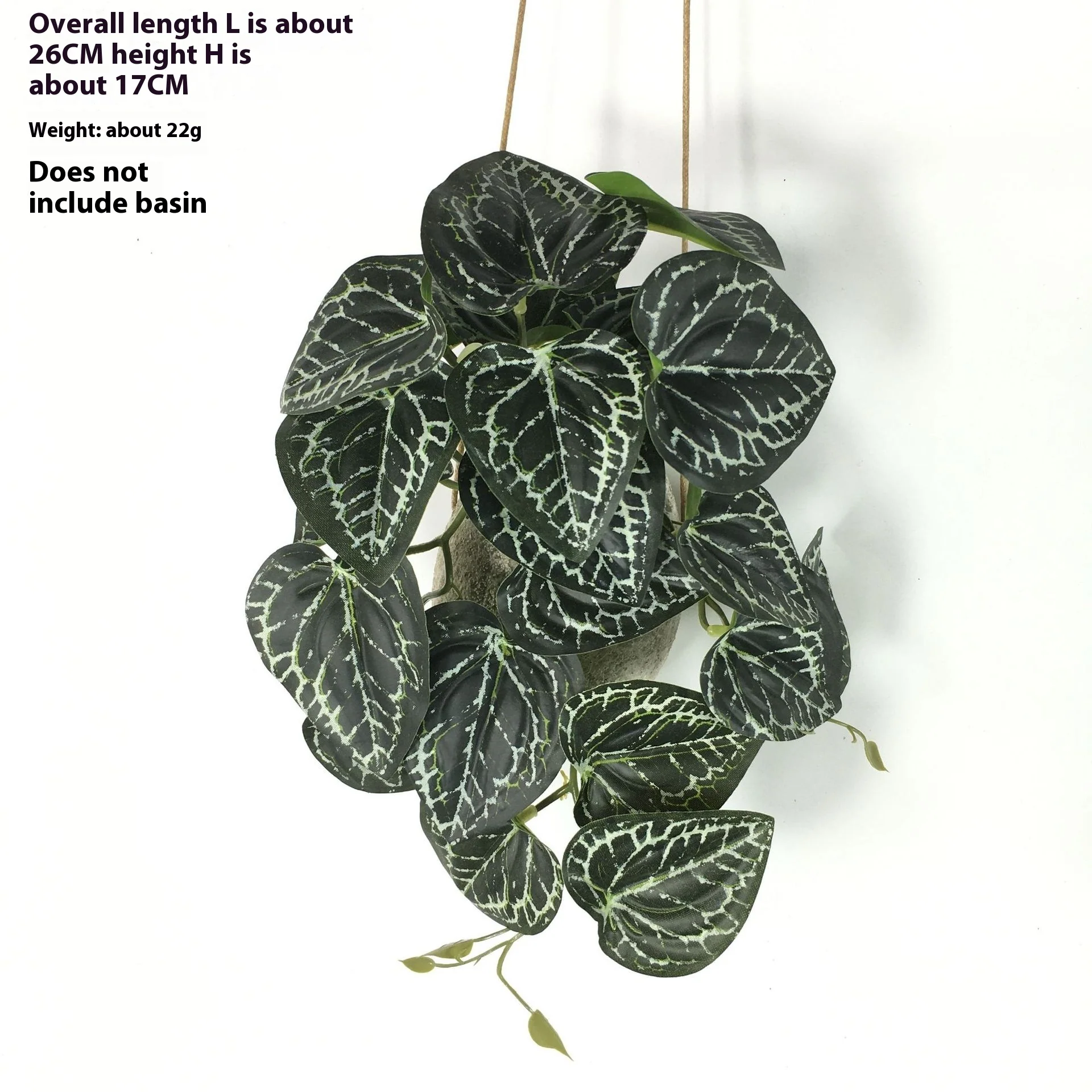 EverLush – Instant Realistic Greening Without Maintenance Effort - Image 13