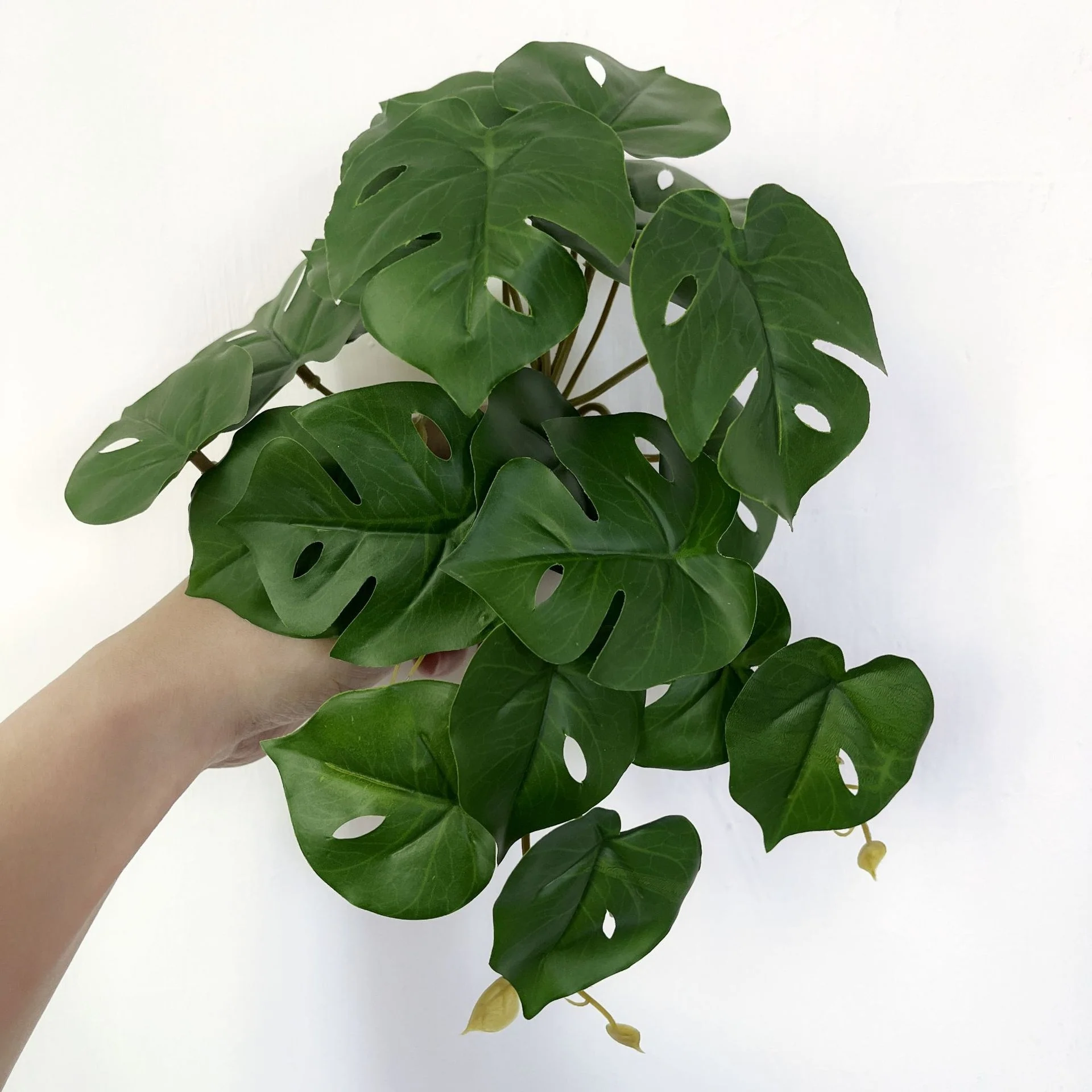 EverLush – Instant Realistic Greening Without Maintenance Effort - Image 14