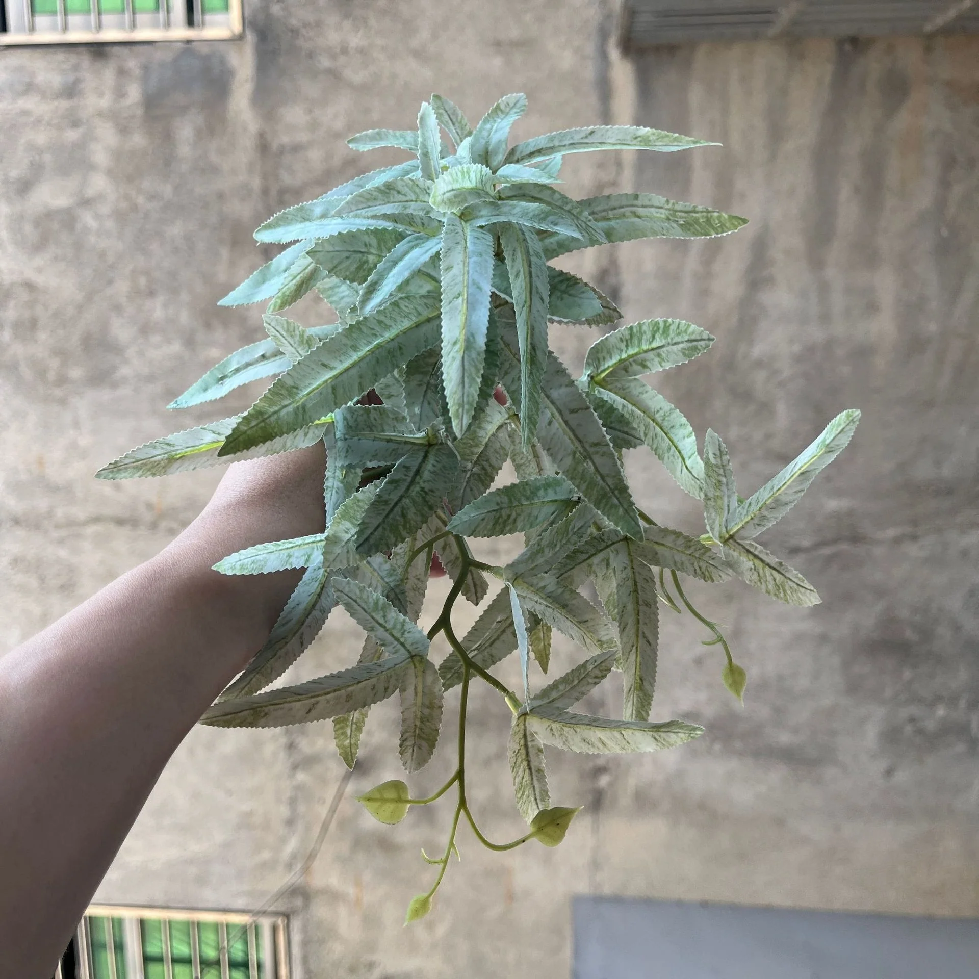 EverLush – Instant Realistic Greening Without Maintenance Effort - Image 16