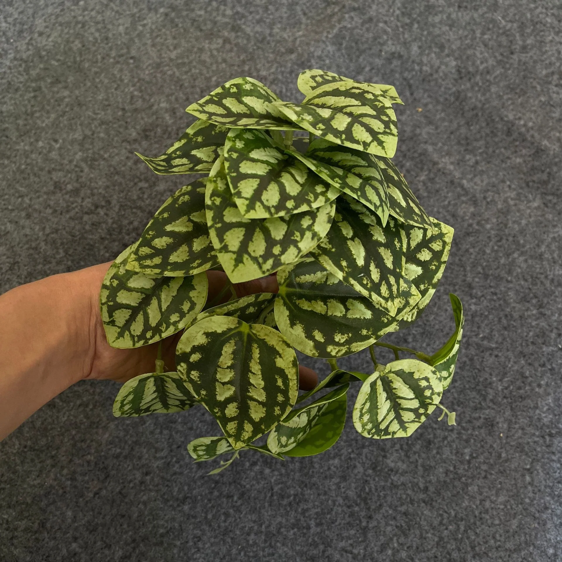 EverLush – Instant Realistic Greening Without Maintenance Effort - Image 17