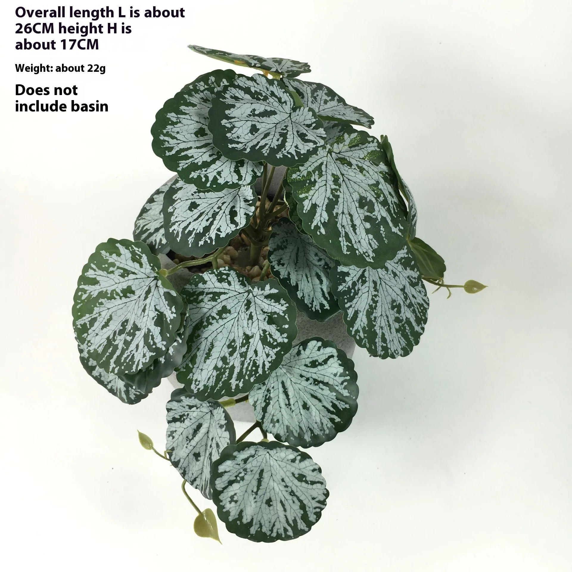 EverLush – Instant Realistic Greening Without Maintenance Effort - Image 3