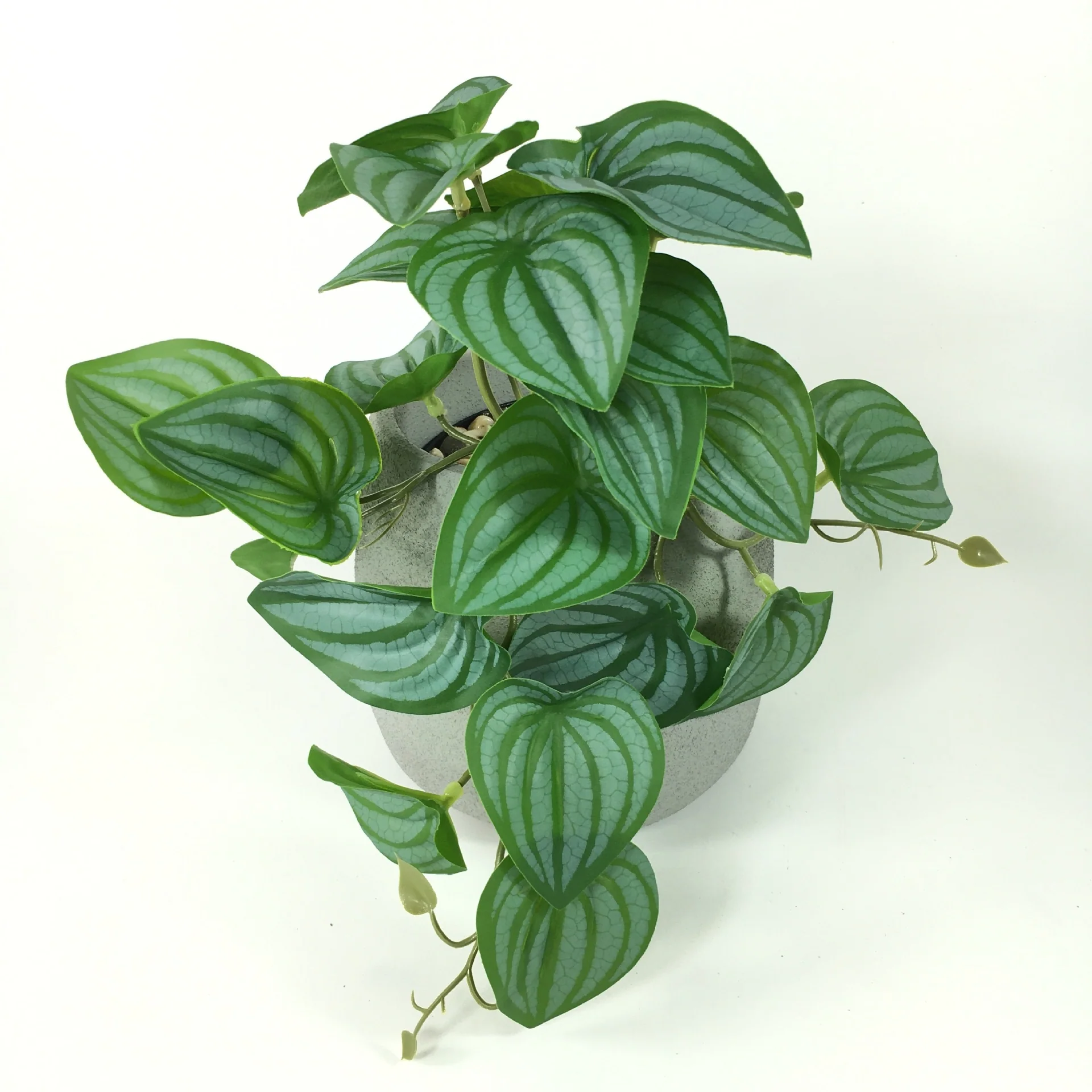 EverLush – Instant Realistic Greening Without Maintenance Effort - Image 5