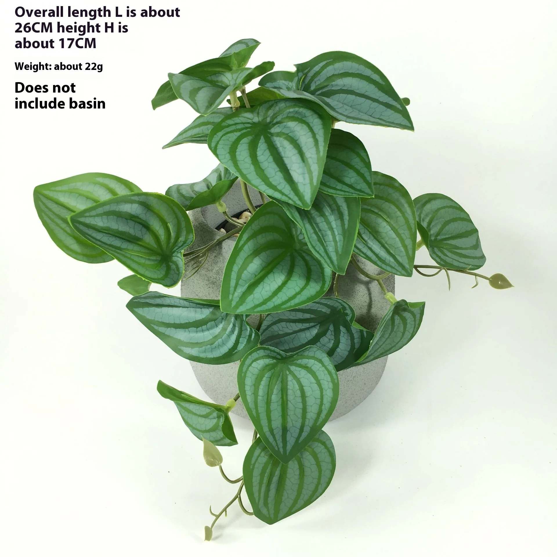 EverLush – Instant Realistic Greening Without Maintenance Effort - Image 6