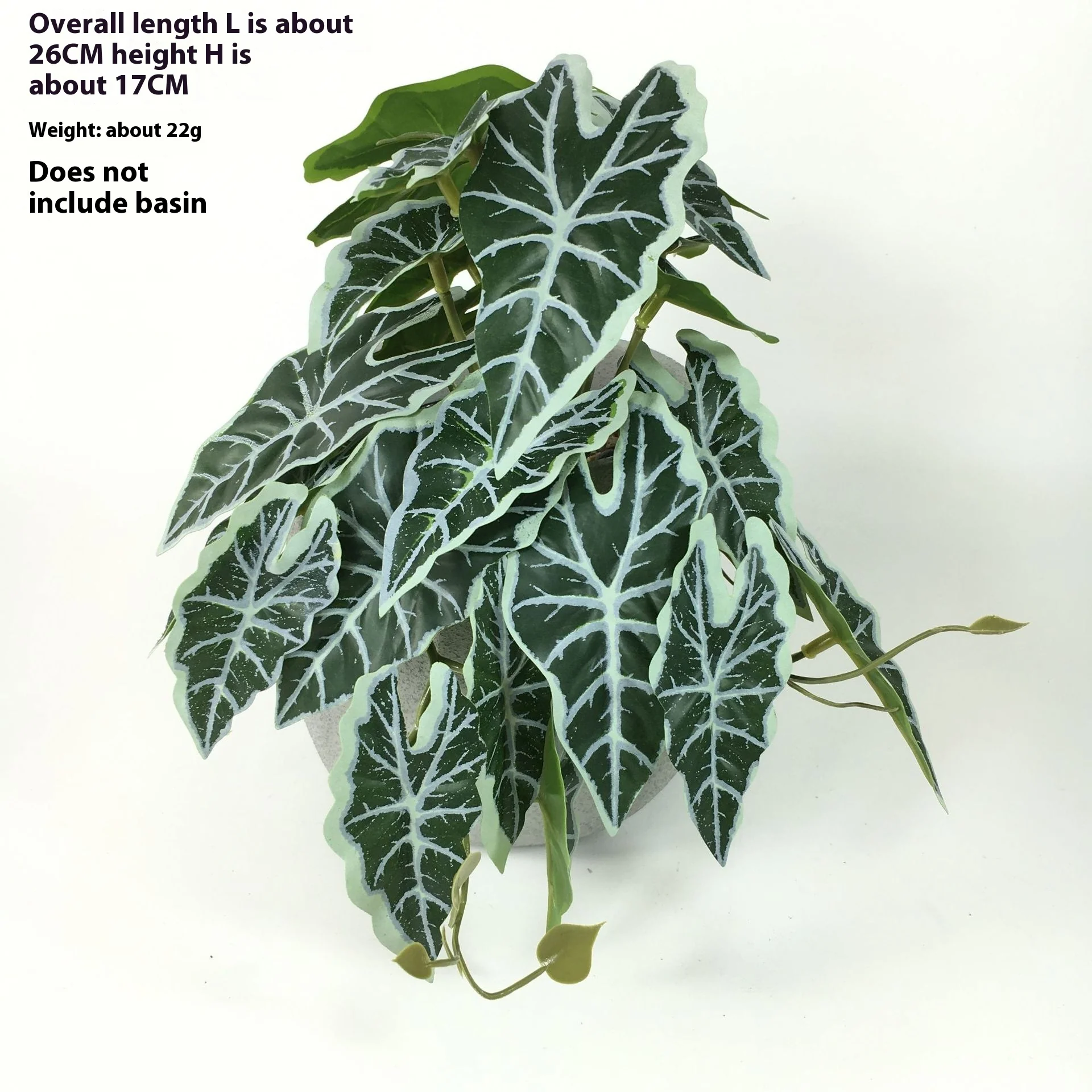EverLush – Instant Realistic Greening Without Maintenance Effort - Image 7