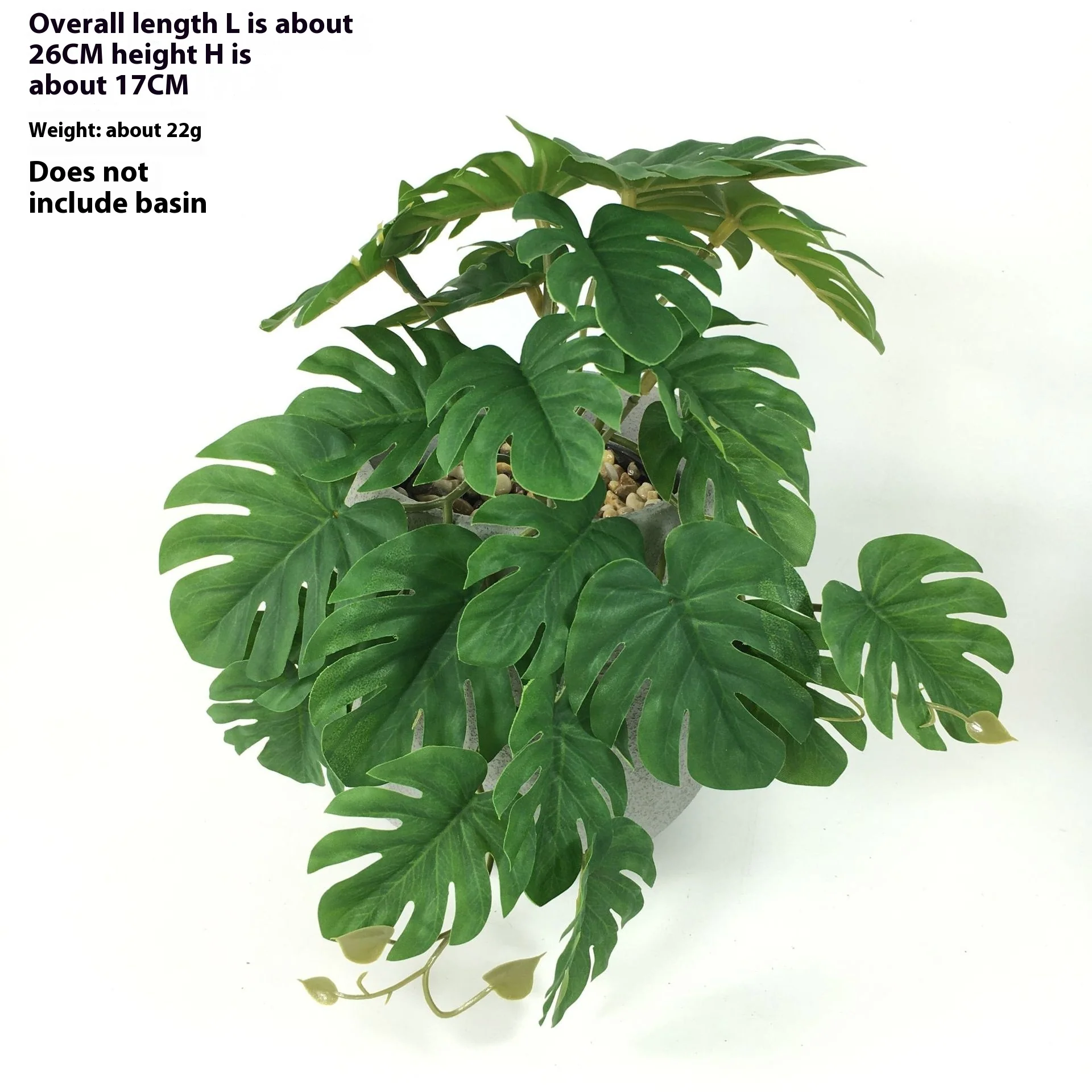 EverLush – Instant Realistic Greening Without Maintenance Effort - Image 8