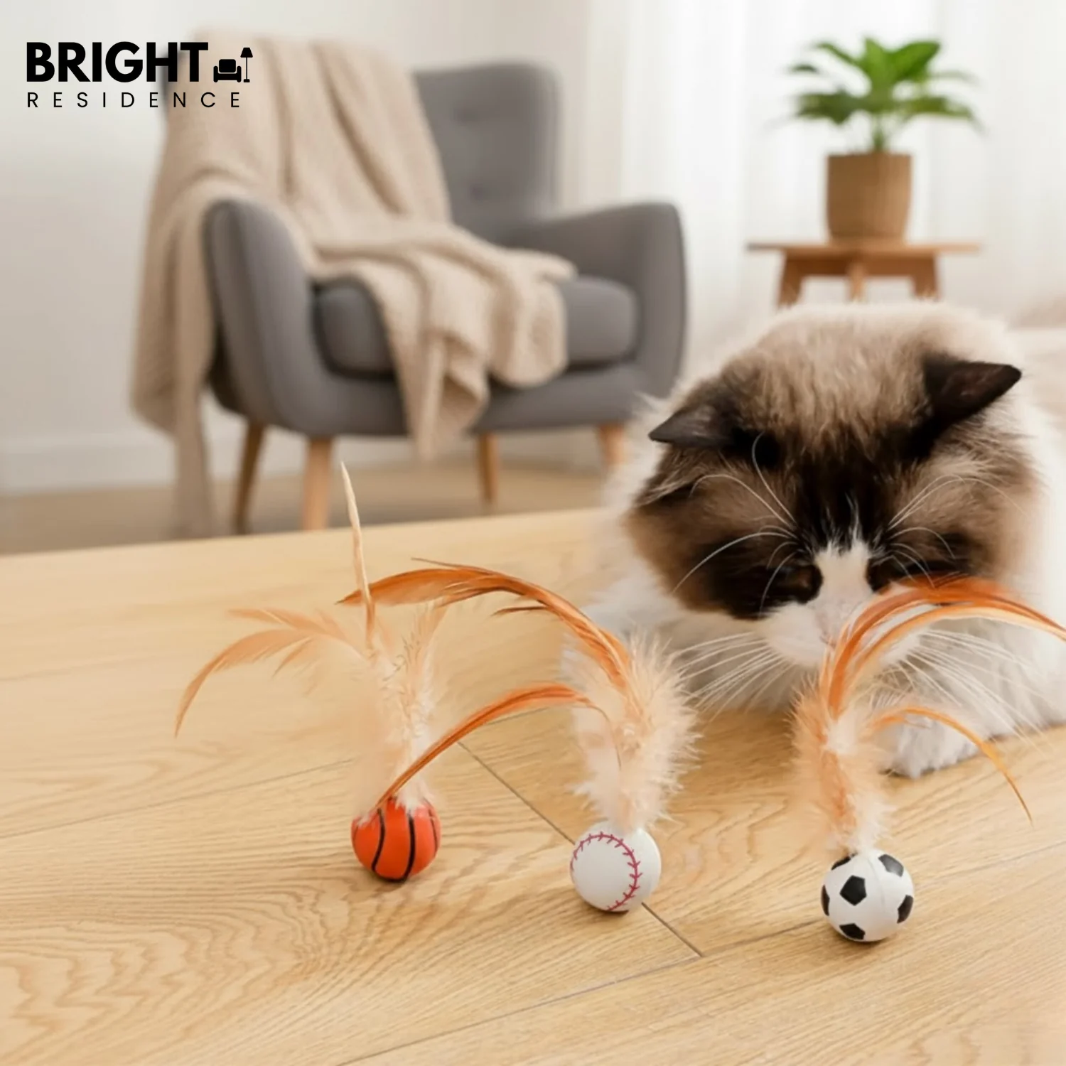 FeatherBounce – Play Fun for Active Cats!