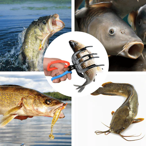 FishPlier – Safe, Pain-Free Handling of Fish – Every Time - Image 9