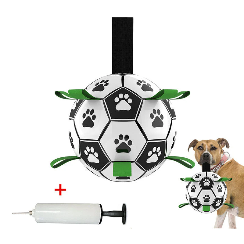 FloatFetch – Keeps Dogs Active and Safe On Land and Water - Image 3
