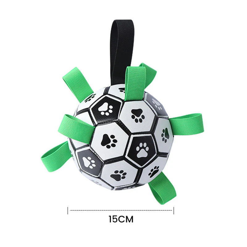 FloatFetch – Keeps Dogs Active and Safe On Land and Water - Image 4